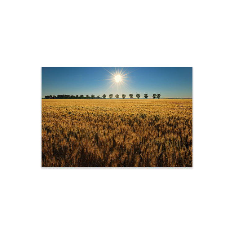 Ebern Designs Canada, Manitoba, Starbuck. Sunrise On Wheat Crop. On